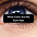 Color Are My Eyes